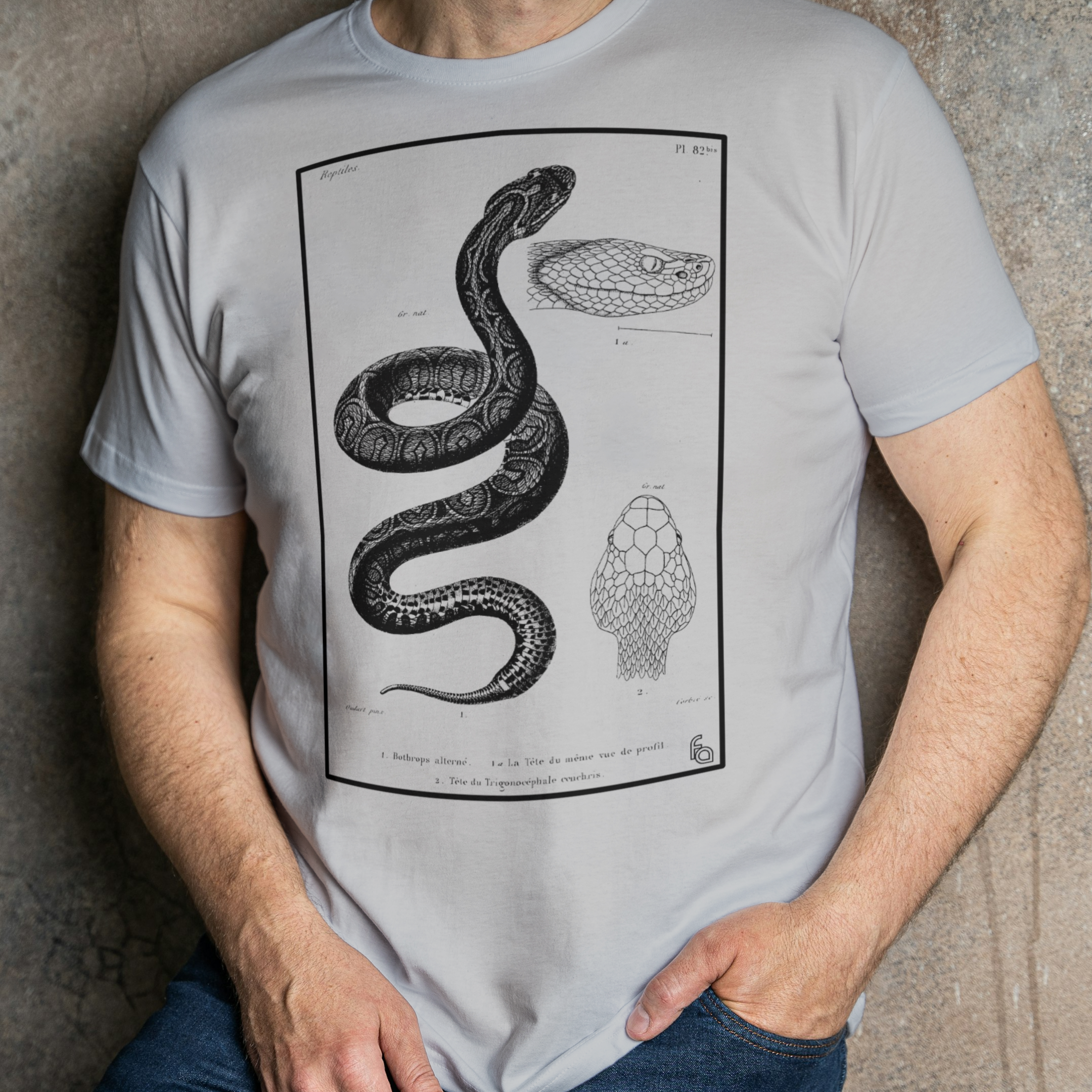 Urutu | Bothrops alternatus Tee