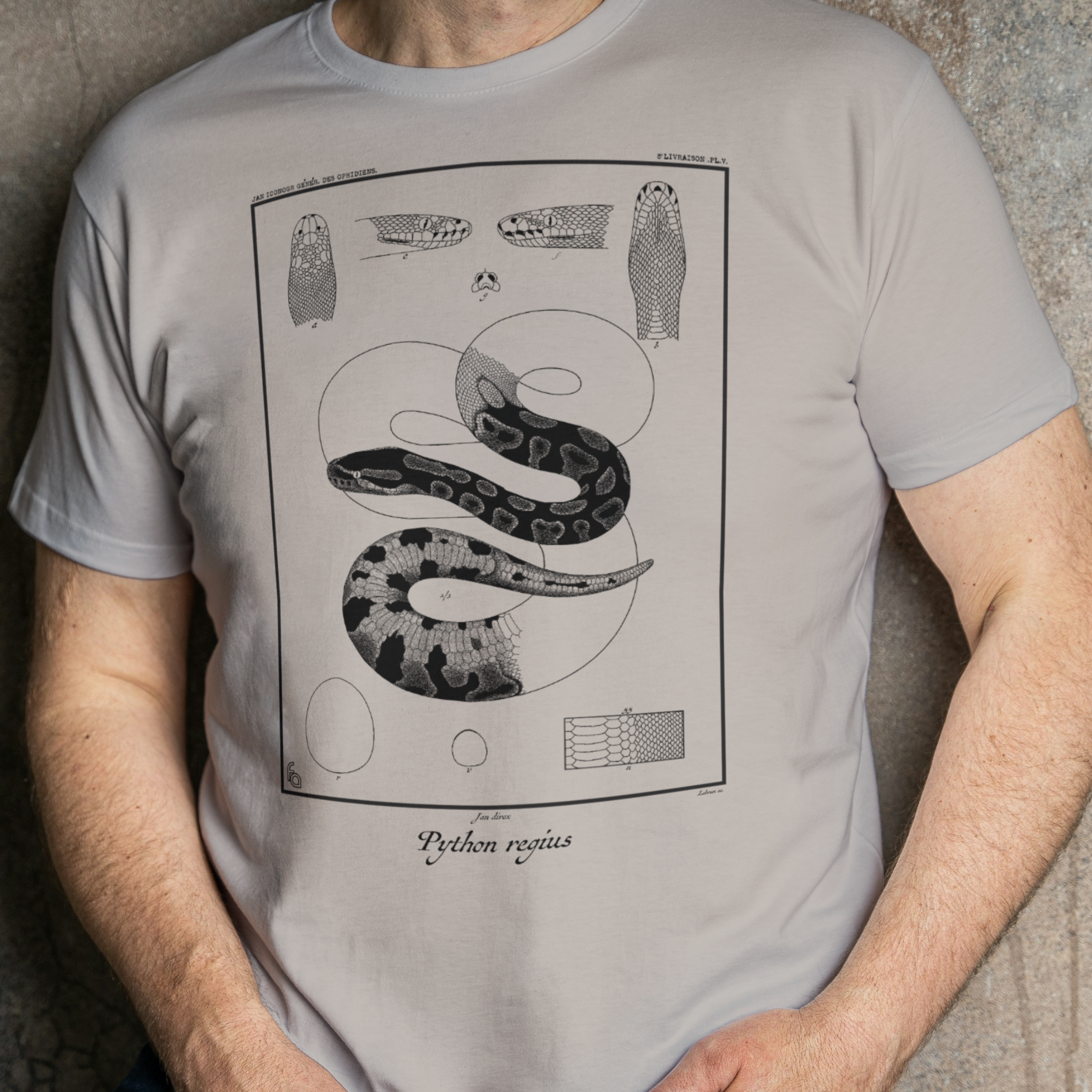 Vintage Ball Python Lithograph Tee