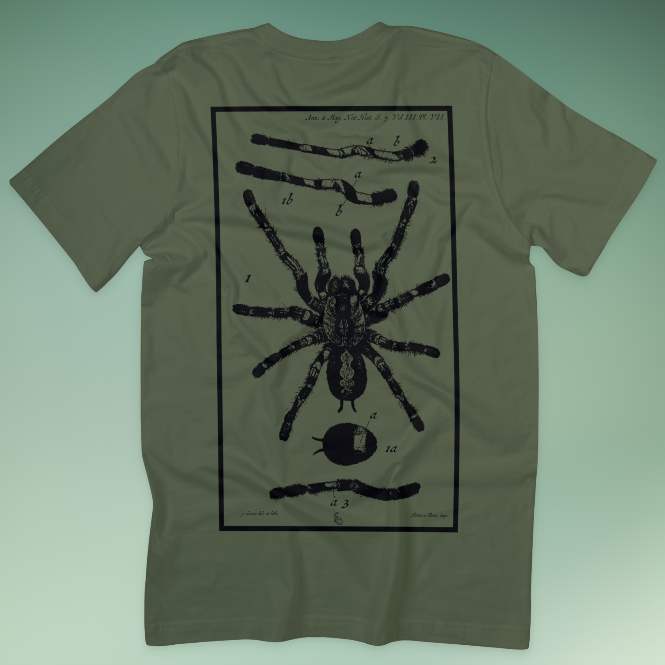 Vintage Ornamental Tarantula | Poecilotheria Tee