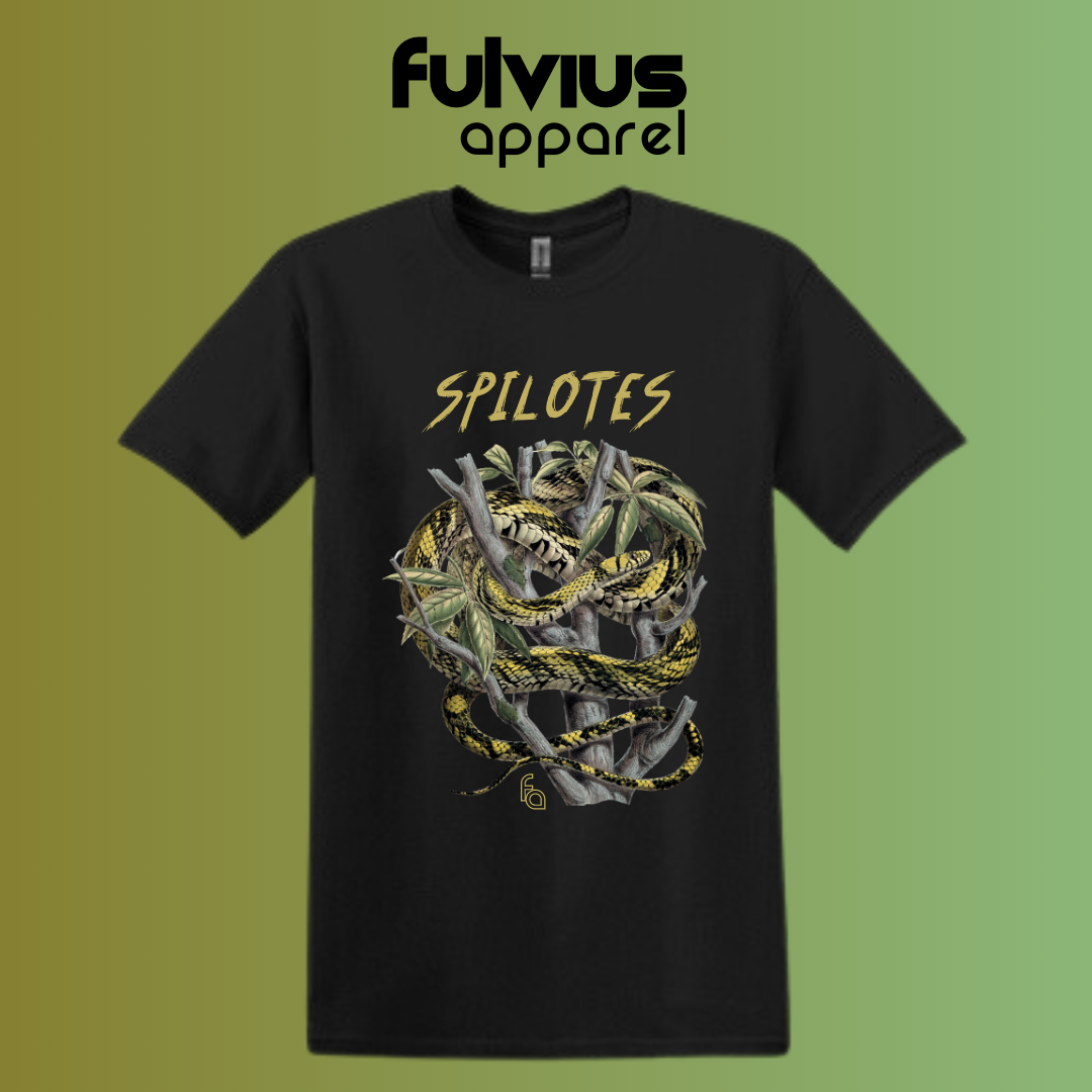 Tiger Rat Snake | Spilotes Tee