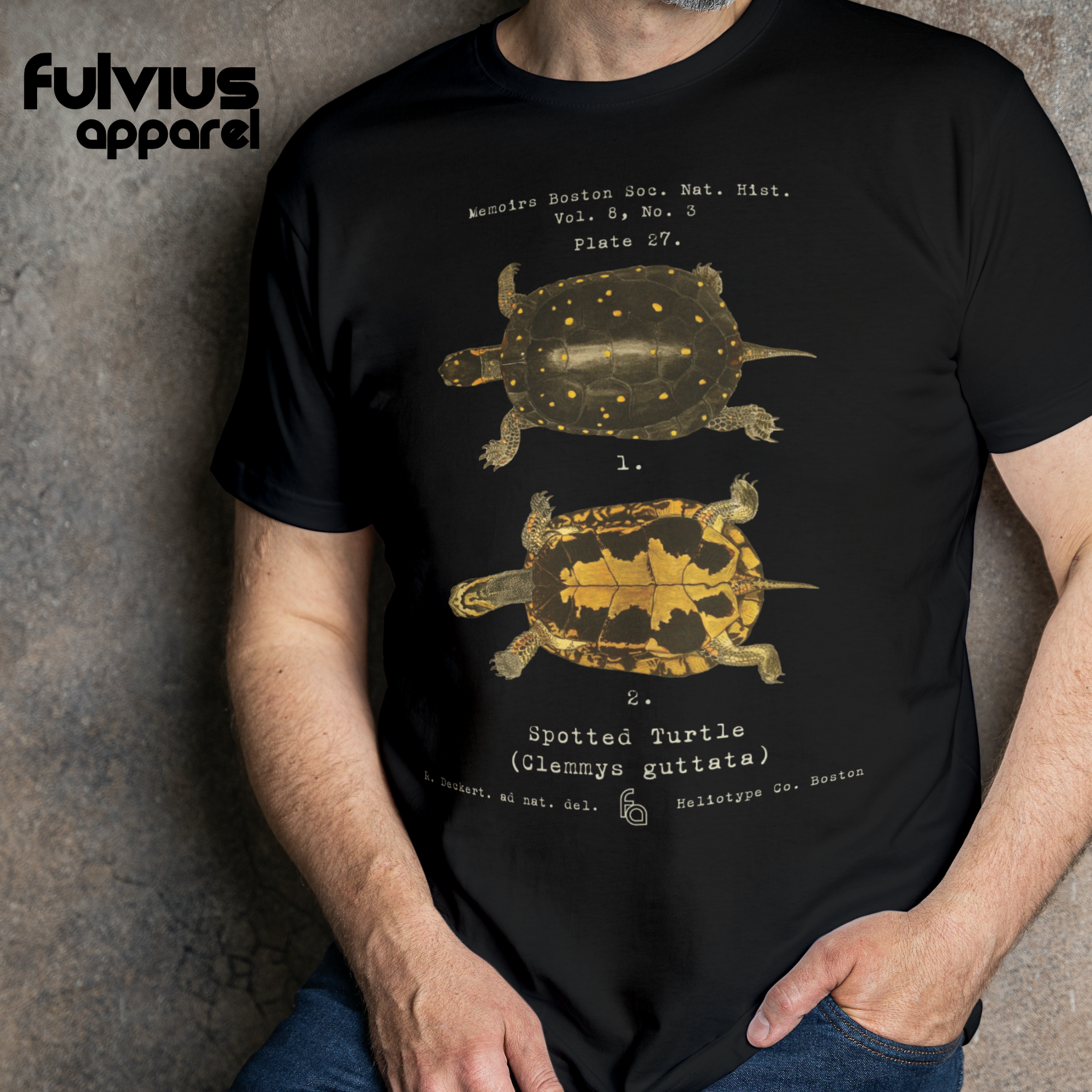 Clemmys guttata | Spotted Turtle Tee
