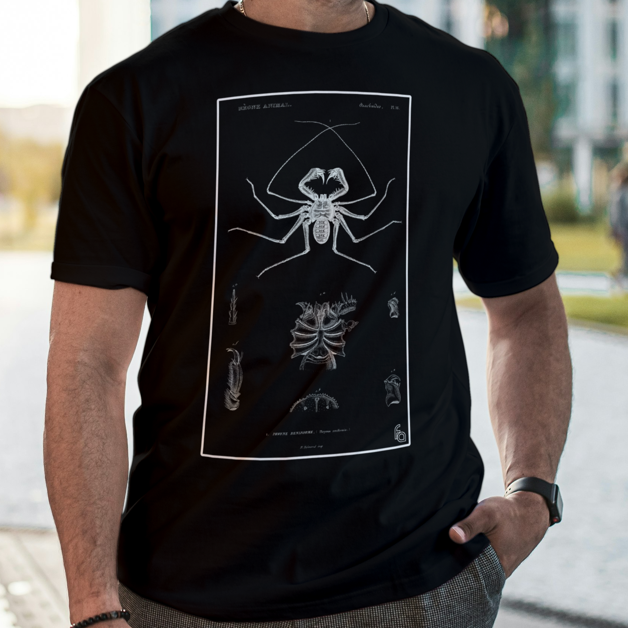 Vintage Whip Spider Tee