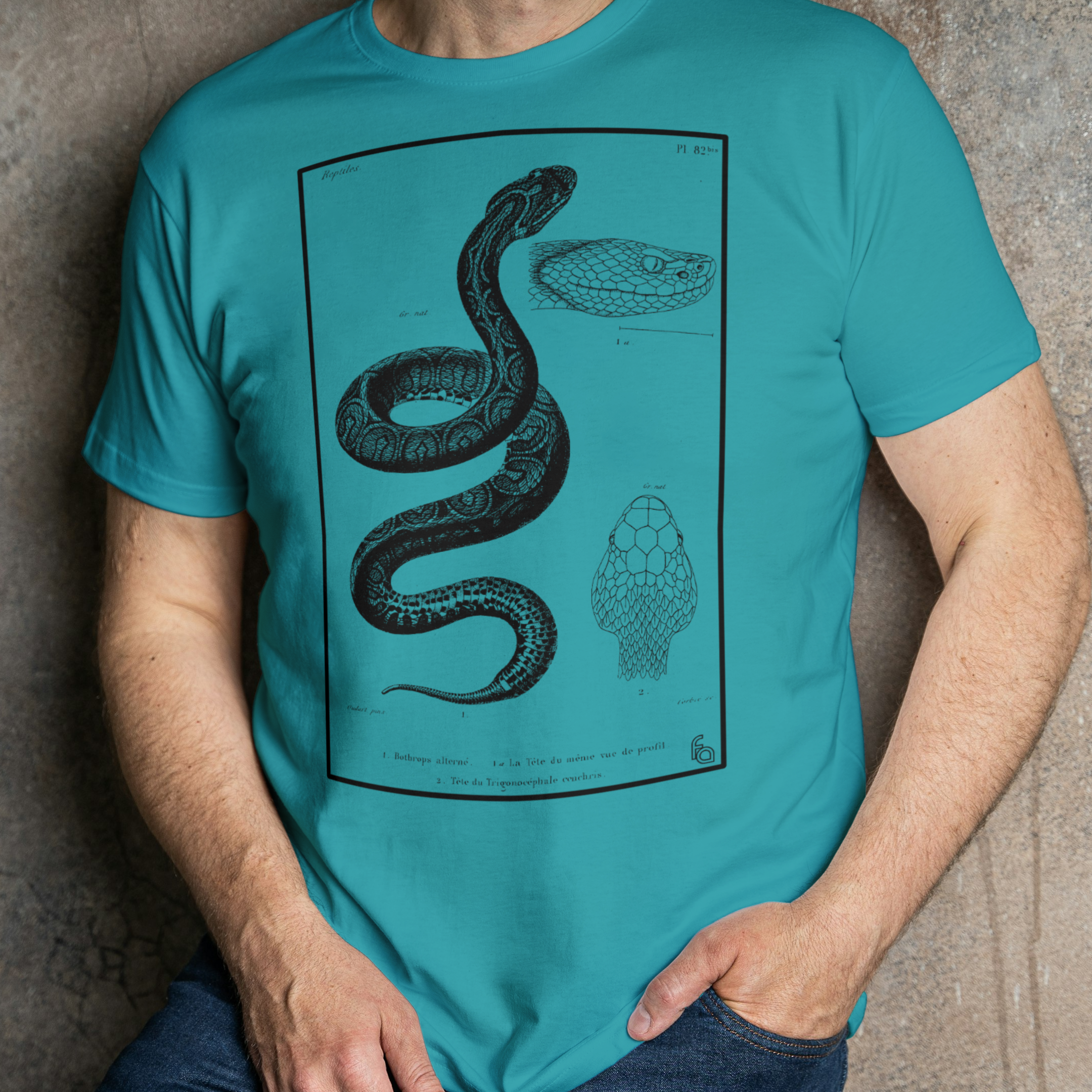 Urutu | Bothrops alternatus Tee