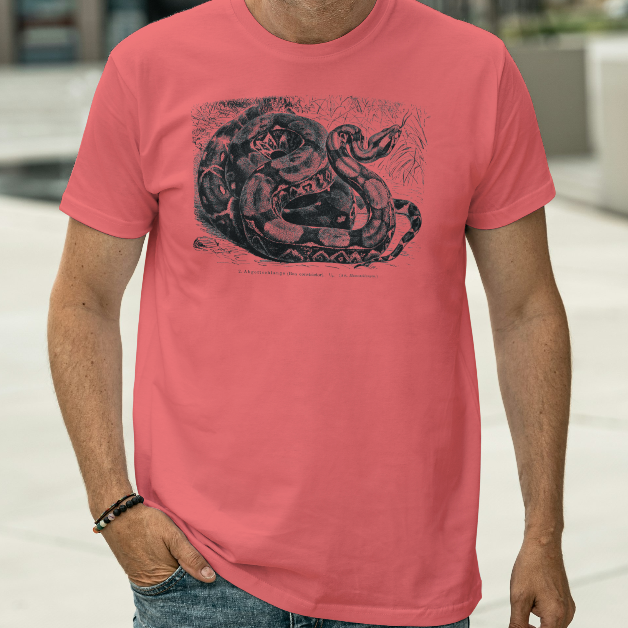 Vintage Boa constrictor Tee