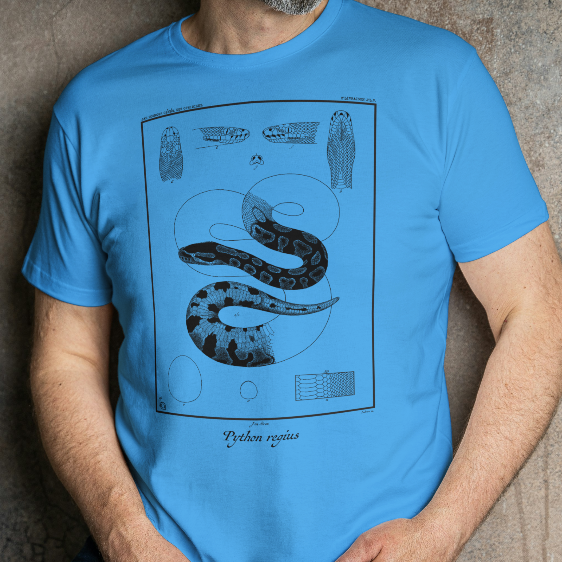 Vintage Ball Python Lithograph Tee