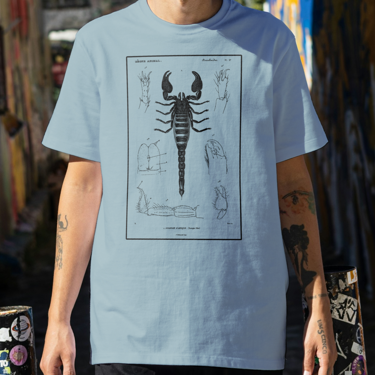 Vintage Emperor Scorpion Tee – Fulvius Apparel