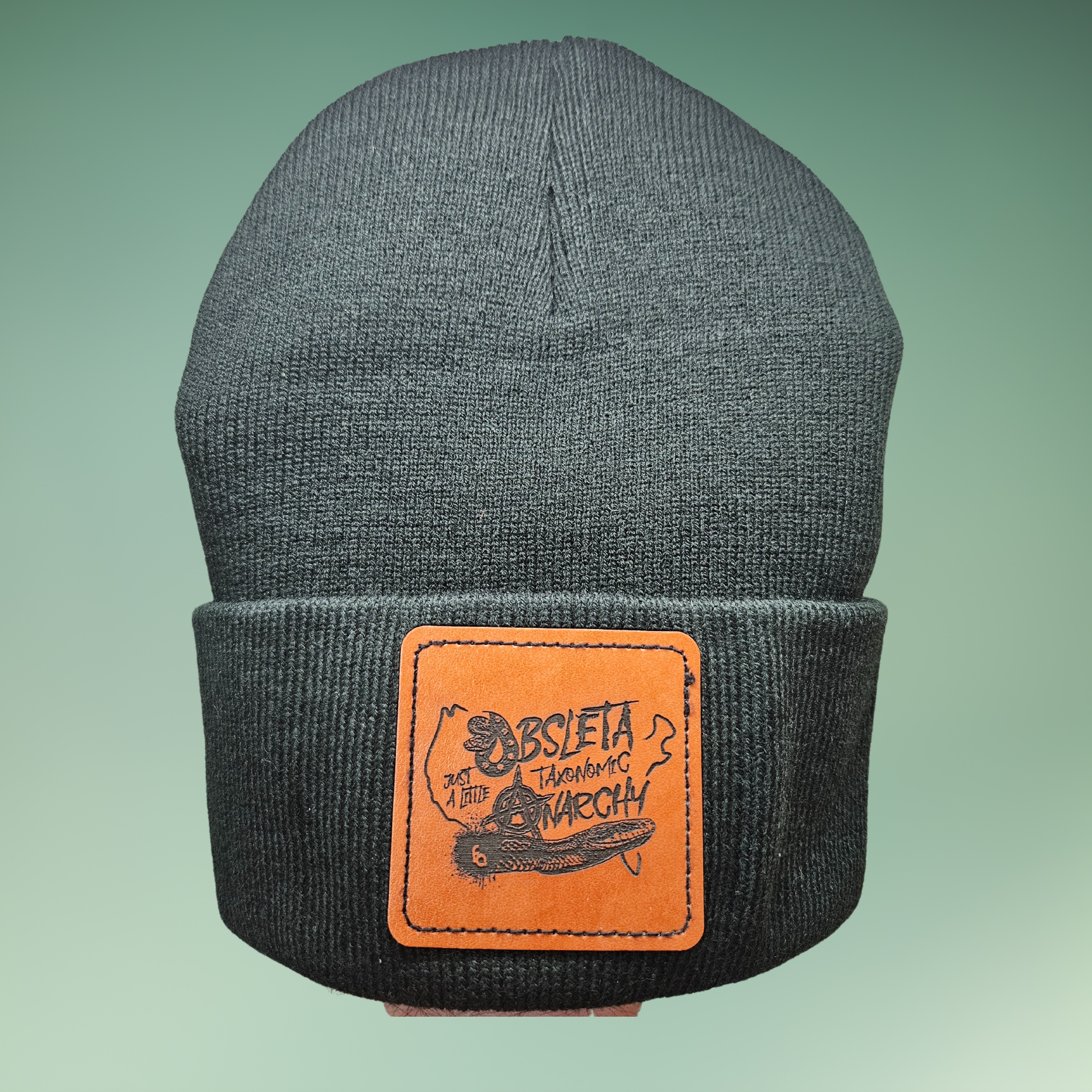 Obsoleta Anarchy Beanie