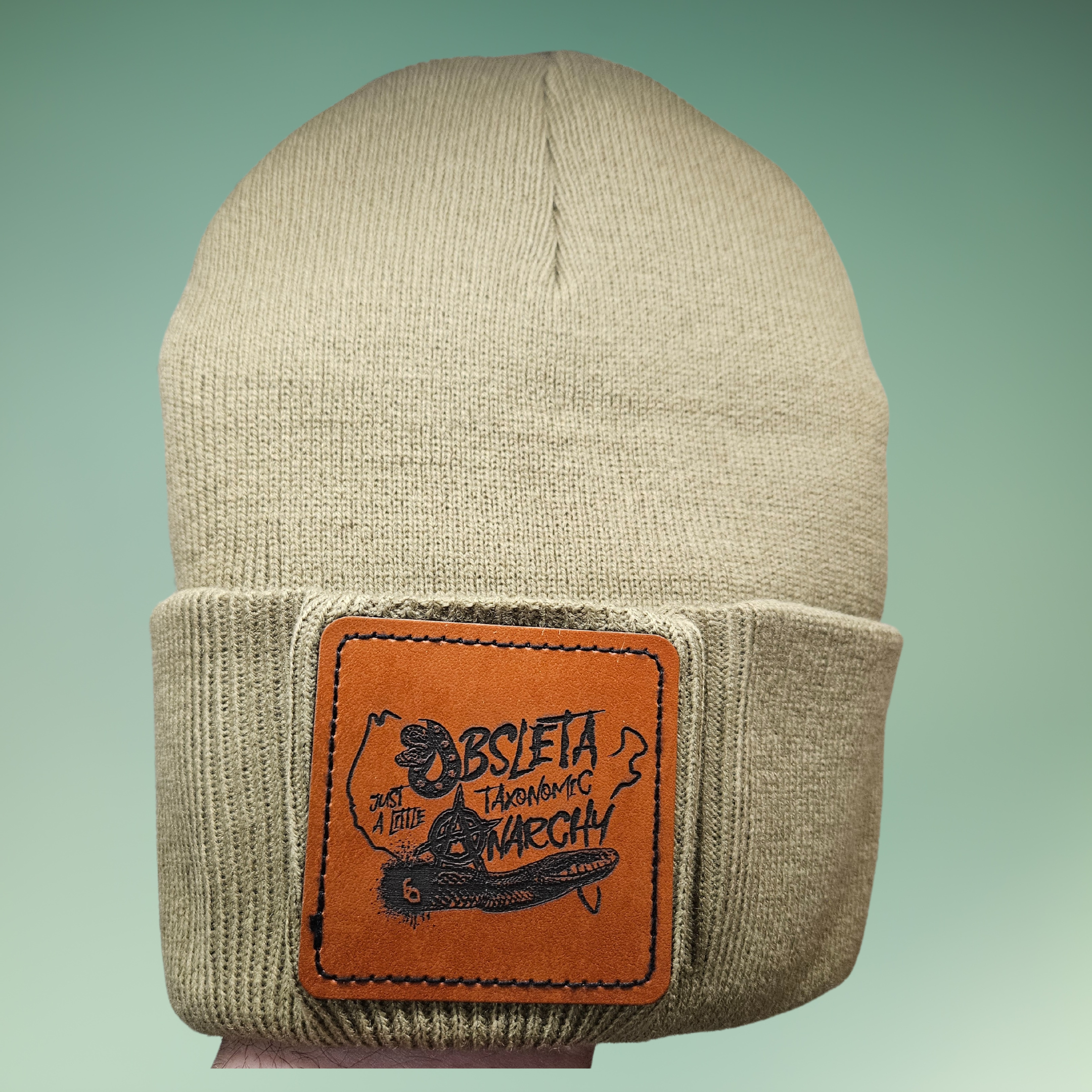 Obsoleta Anarchy Beanie