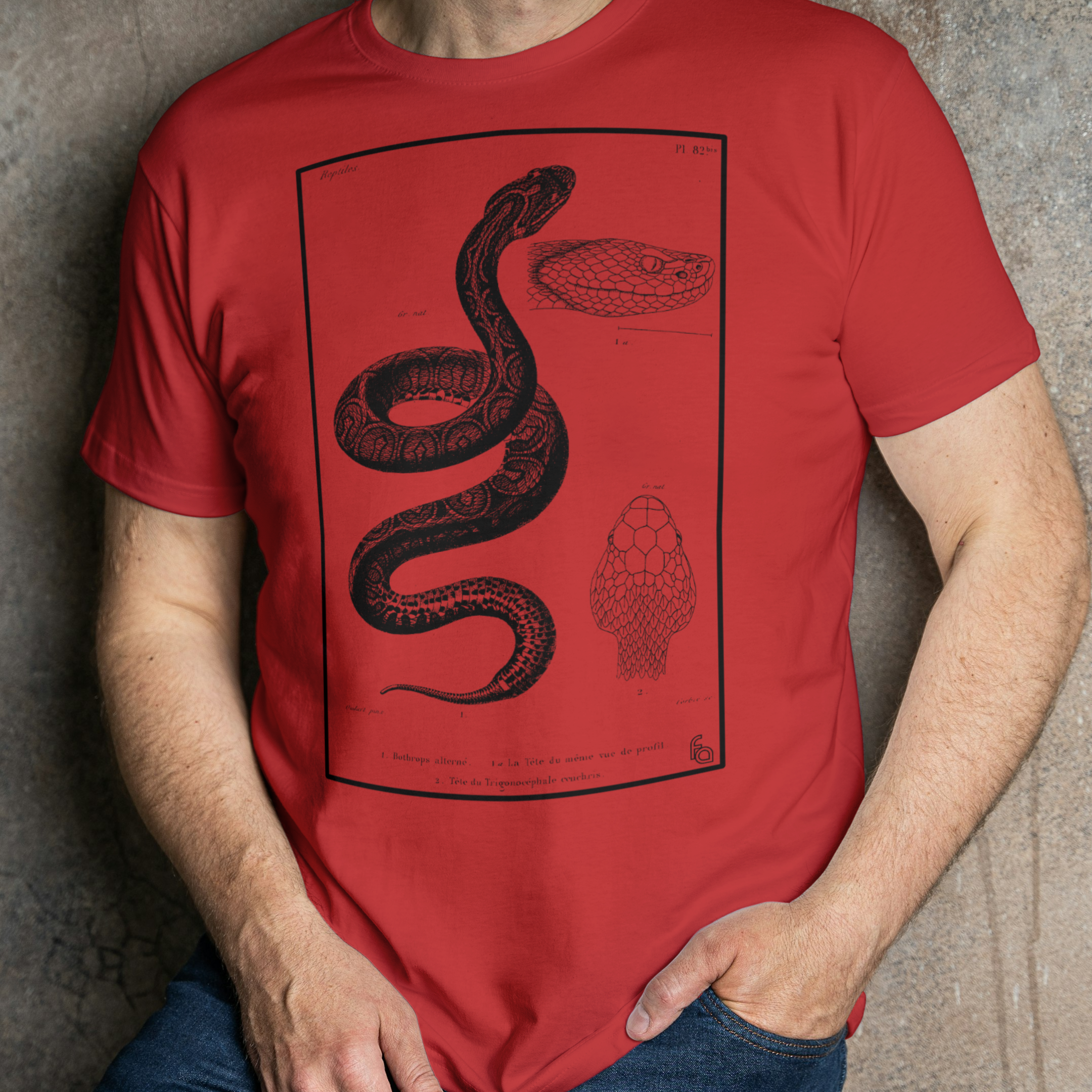 Urutu | Bothrops alternatus Tee