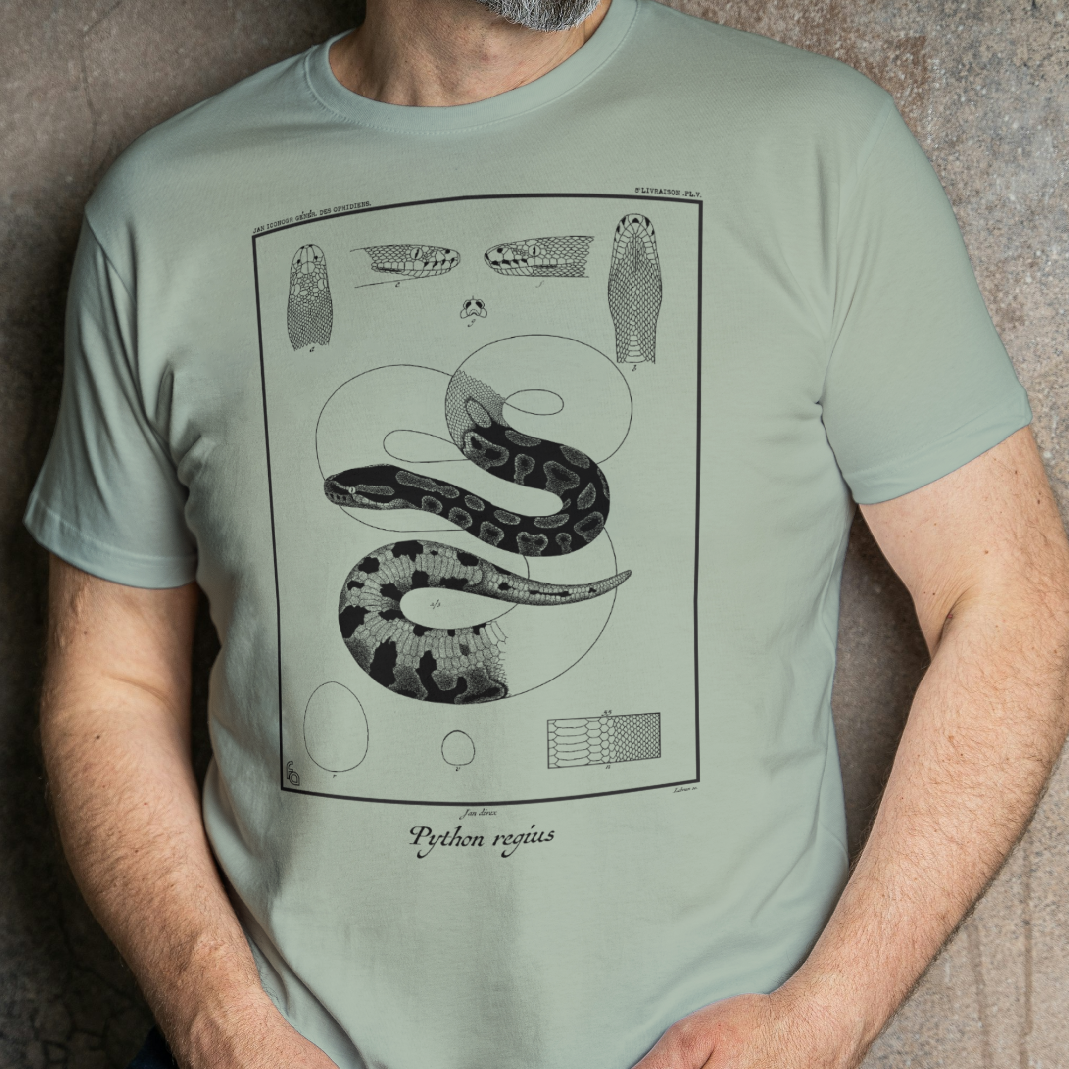 Vintage Ball Python Lithograph Tee