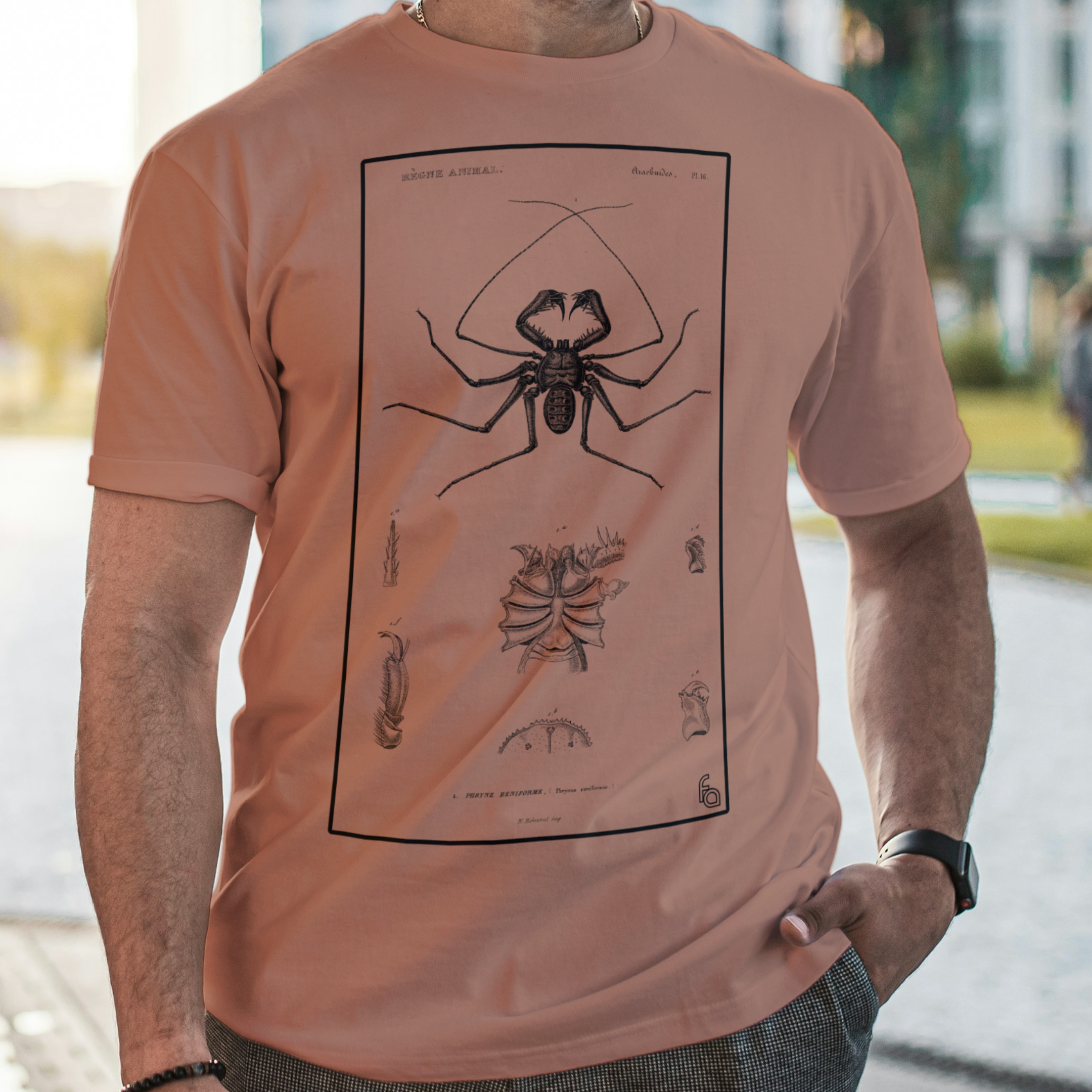 Vintage Whip Spider Tee