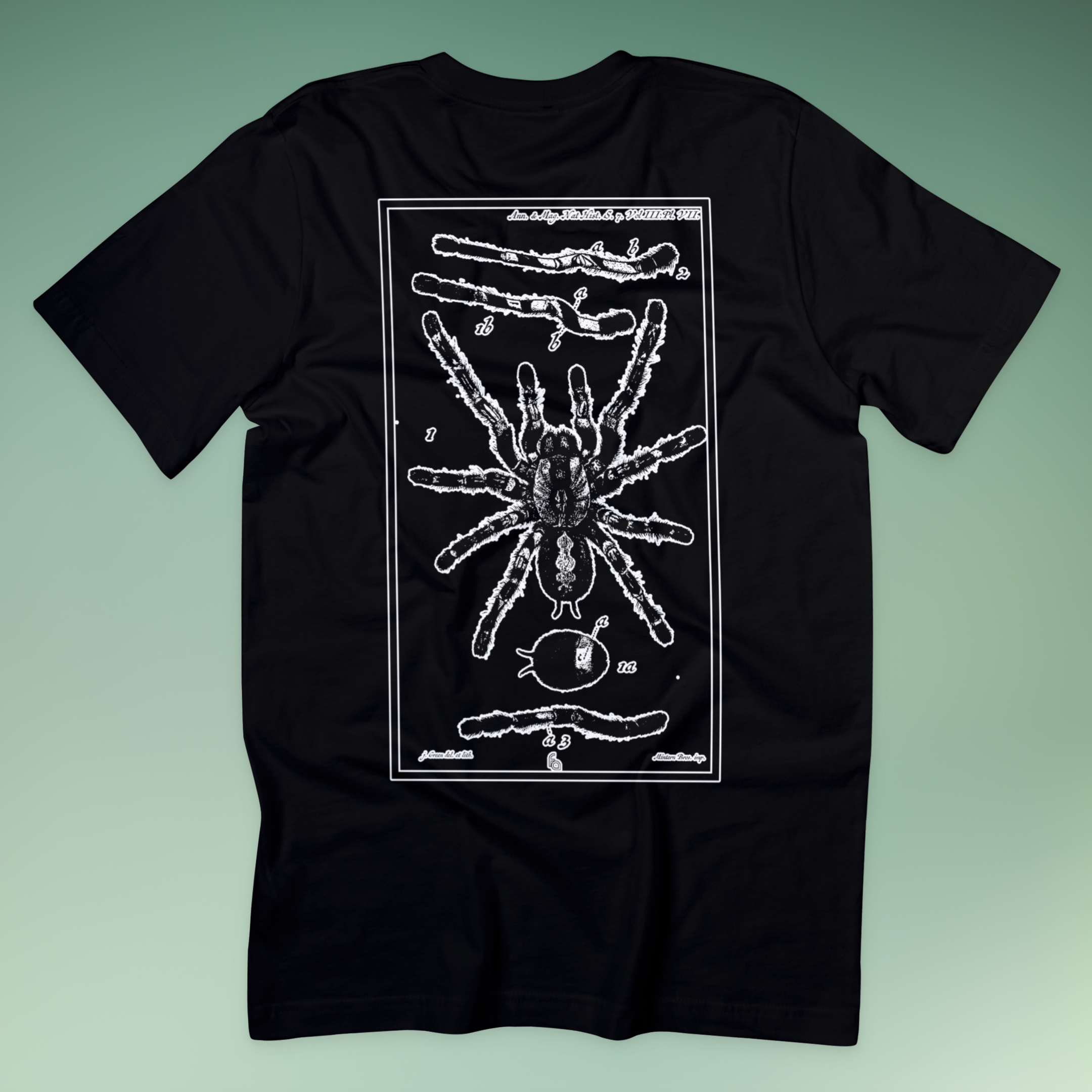 Vintage Ornamental Tarantula | Poecilotheria Tee