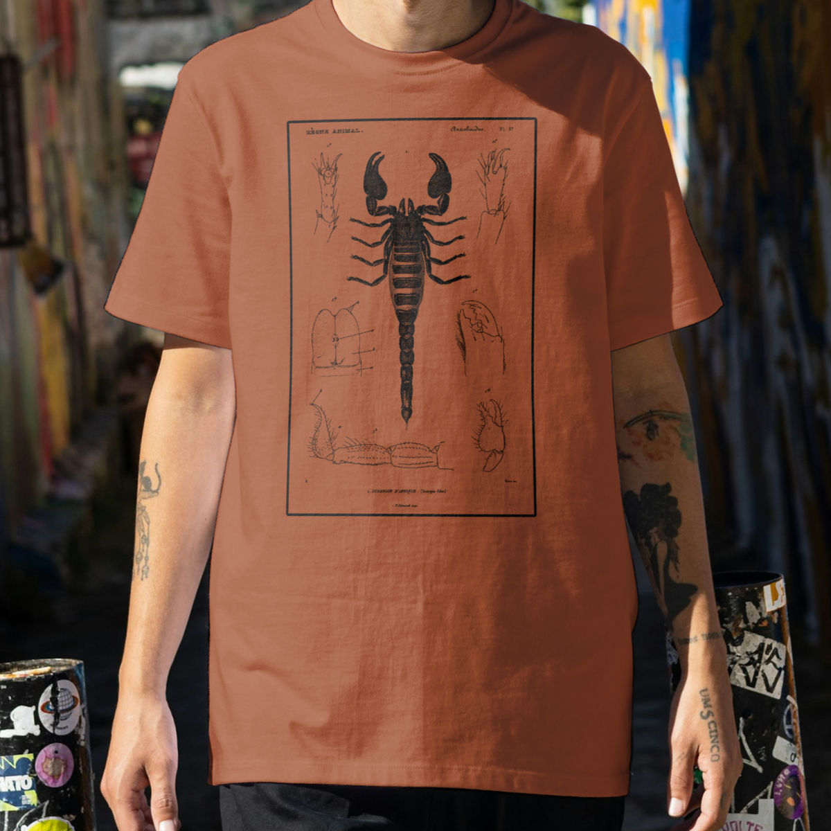 Vintage Emperor Scorpion Tee – Fulvius Apparel