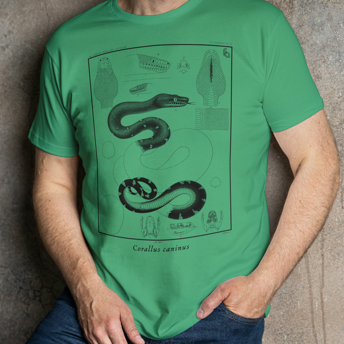 Emerald Tree Boa Corallus caninus Vintage Tee