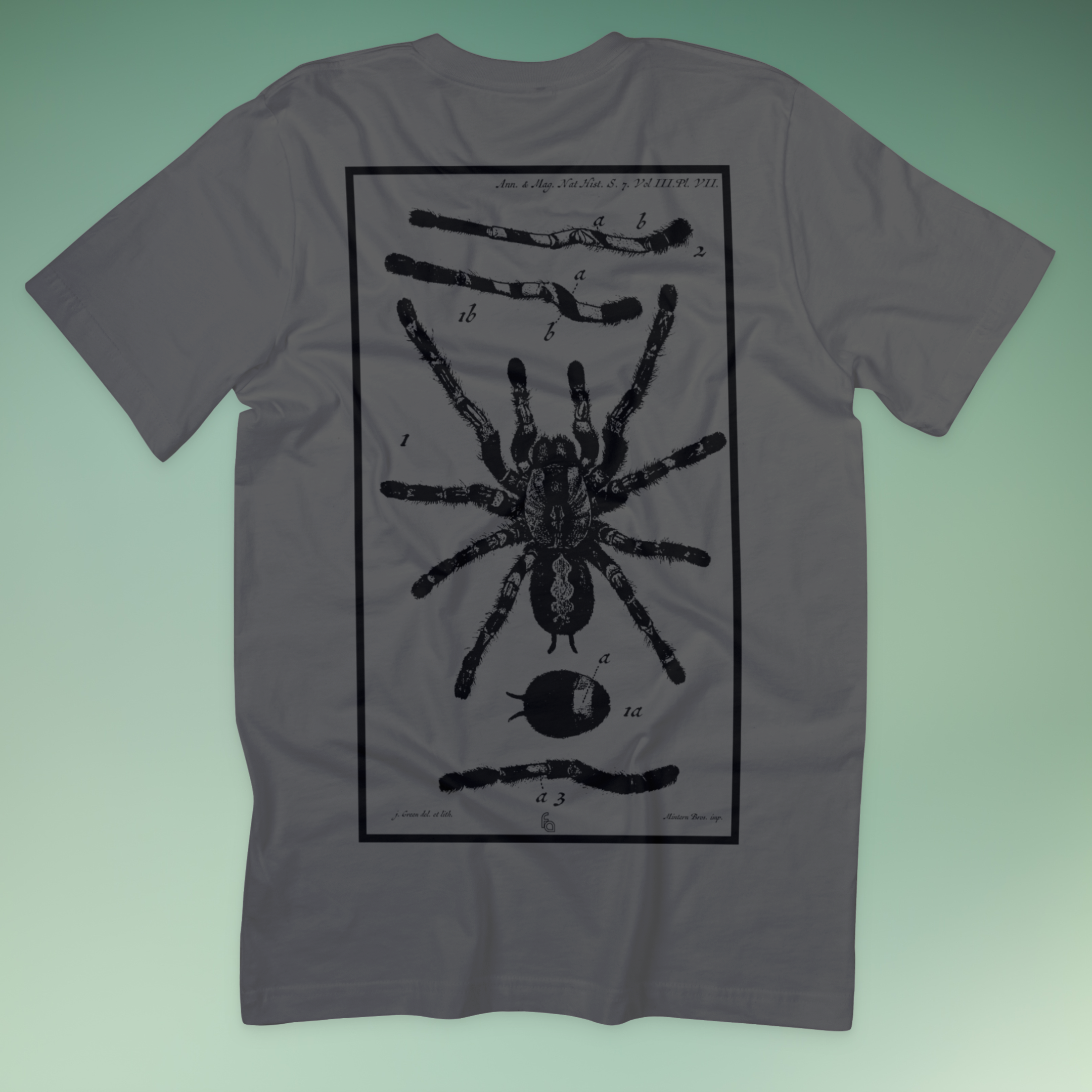 Vintage Ornamental Tarantula | Poecilotheria Tee