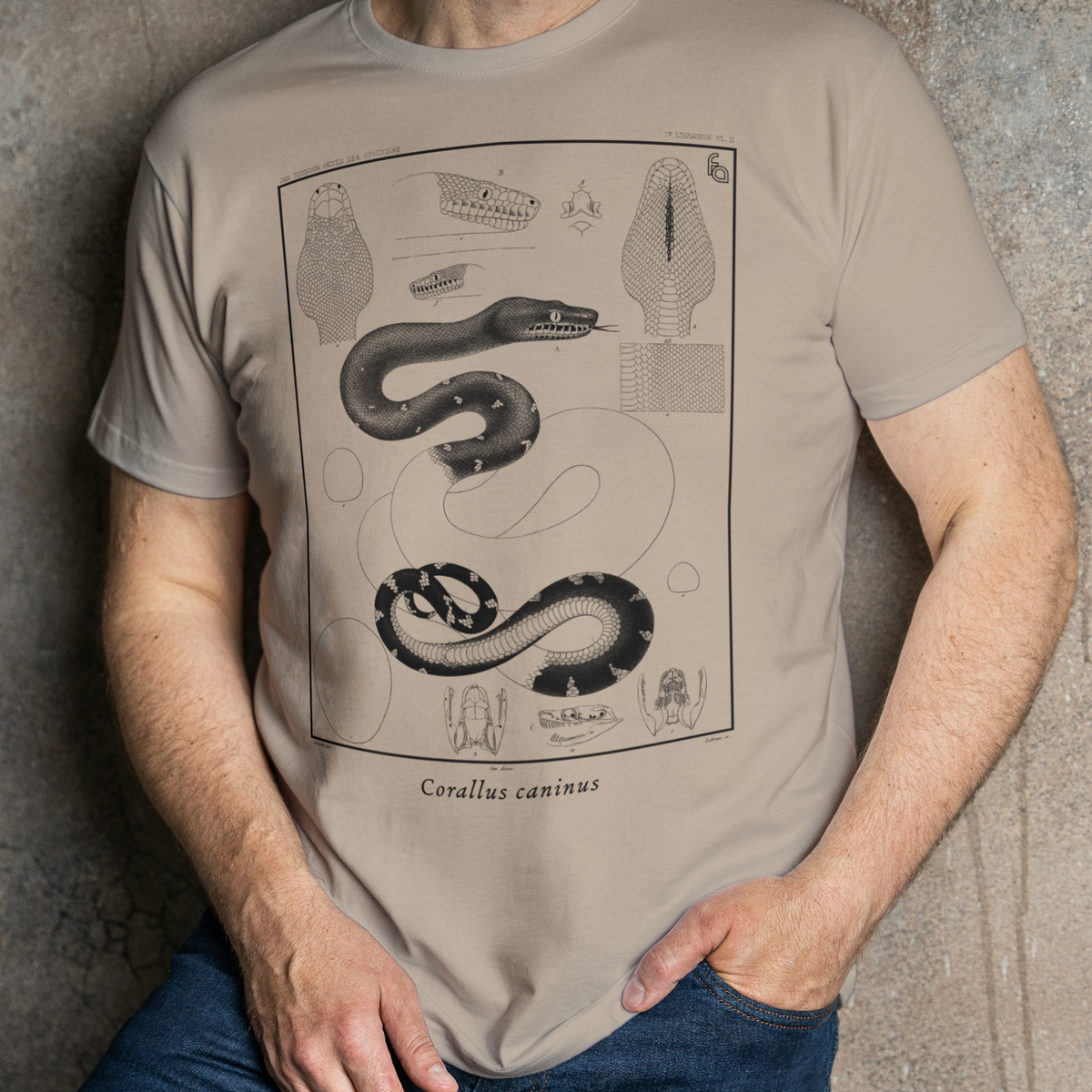 Emerald Tree Boa Corallus caninus Vintage Tee