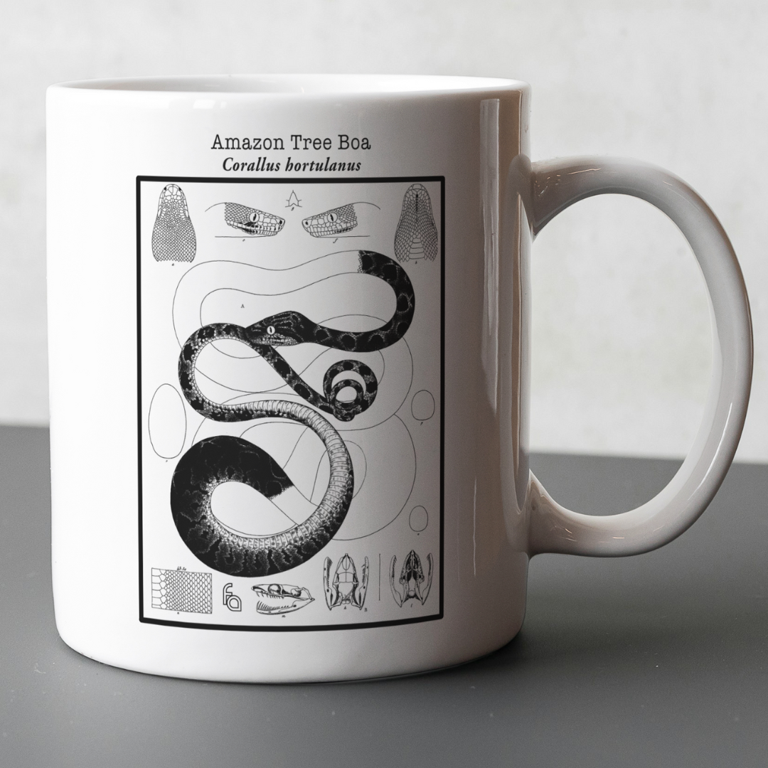 Amazon Tree Boa Lithograph Mug