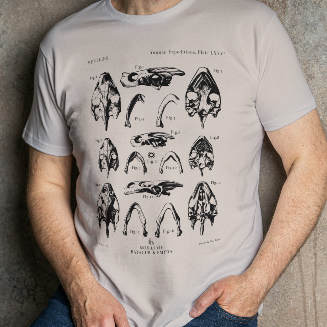 Vintage Batagur & Emyda Skulls | Turtle Tee