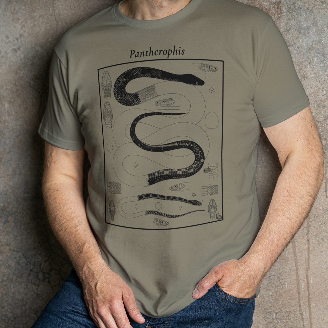 Vintage Pantherophis Chart | Rat Snake Tee