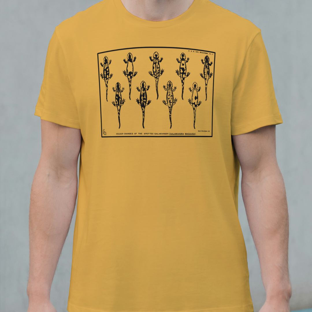 Vintage Spotted Salamander Tee