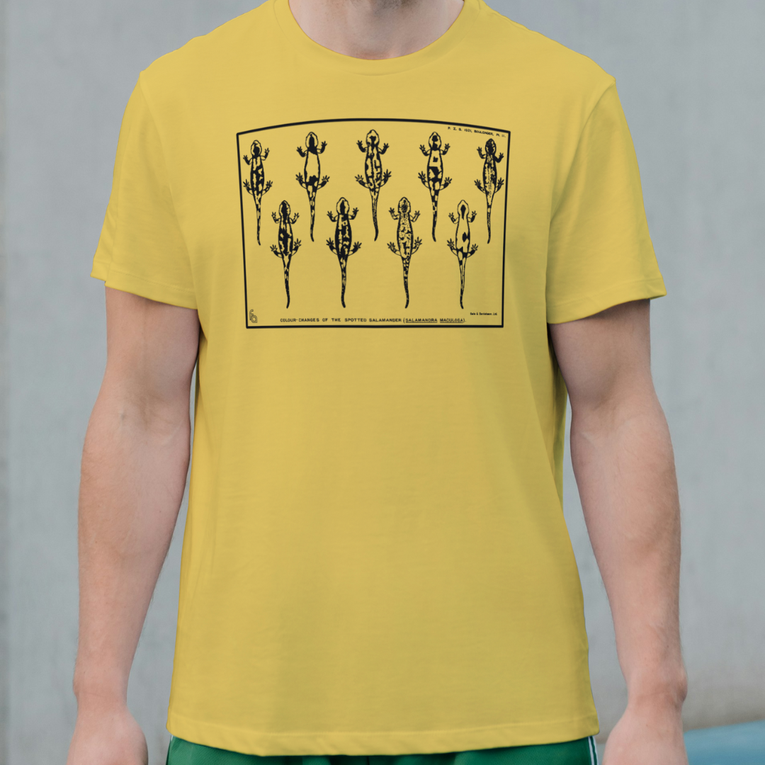 Vintage Spotted Salamander Tee