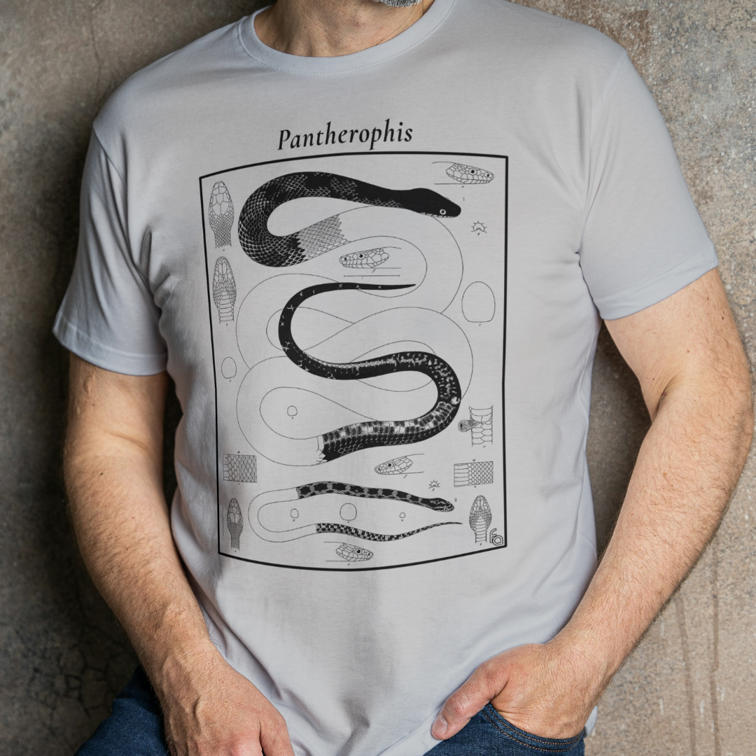 Vintage Pantherophis Chart | Rat Snake Tee