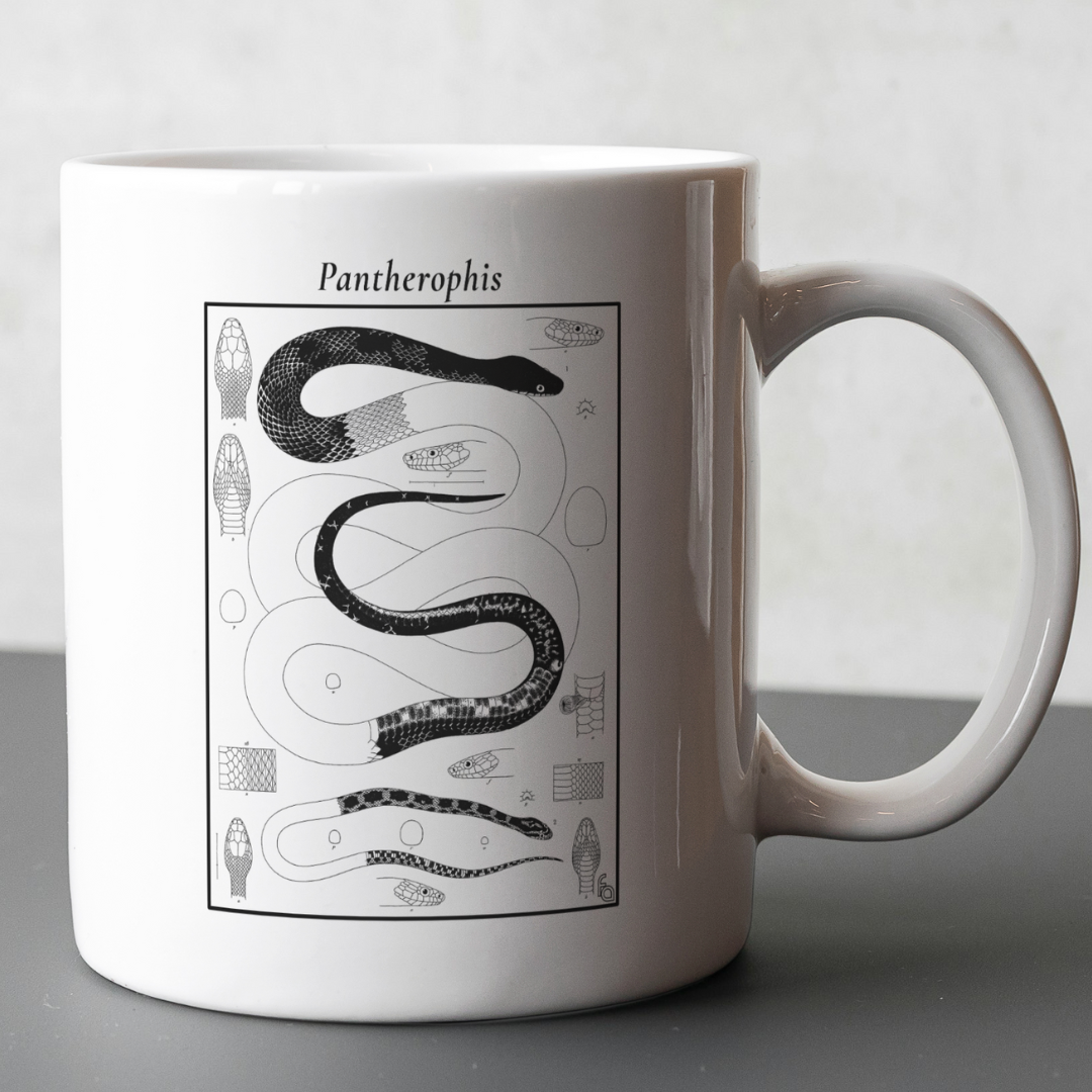 Pantherophis Lithograph Mug